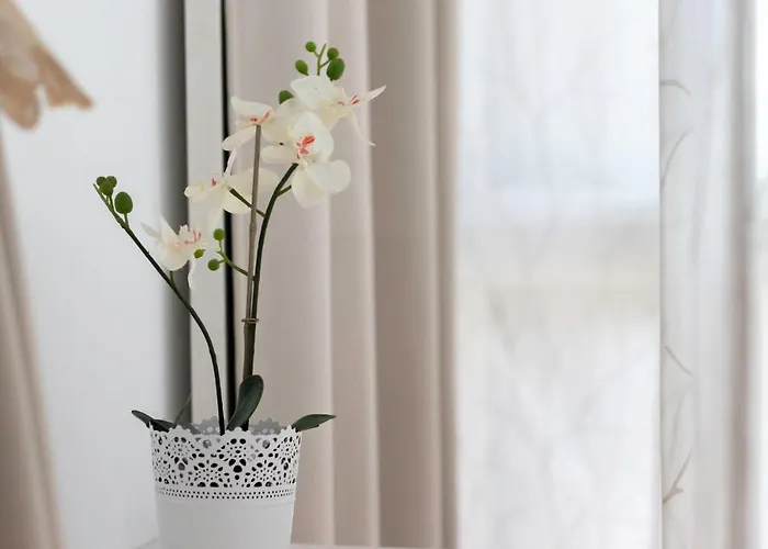 Coqueto Y Tranquilo En El Centro