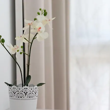 Coqueto Y Tranquilo En El Centro